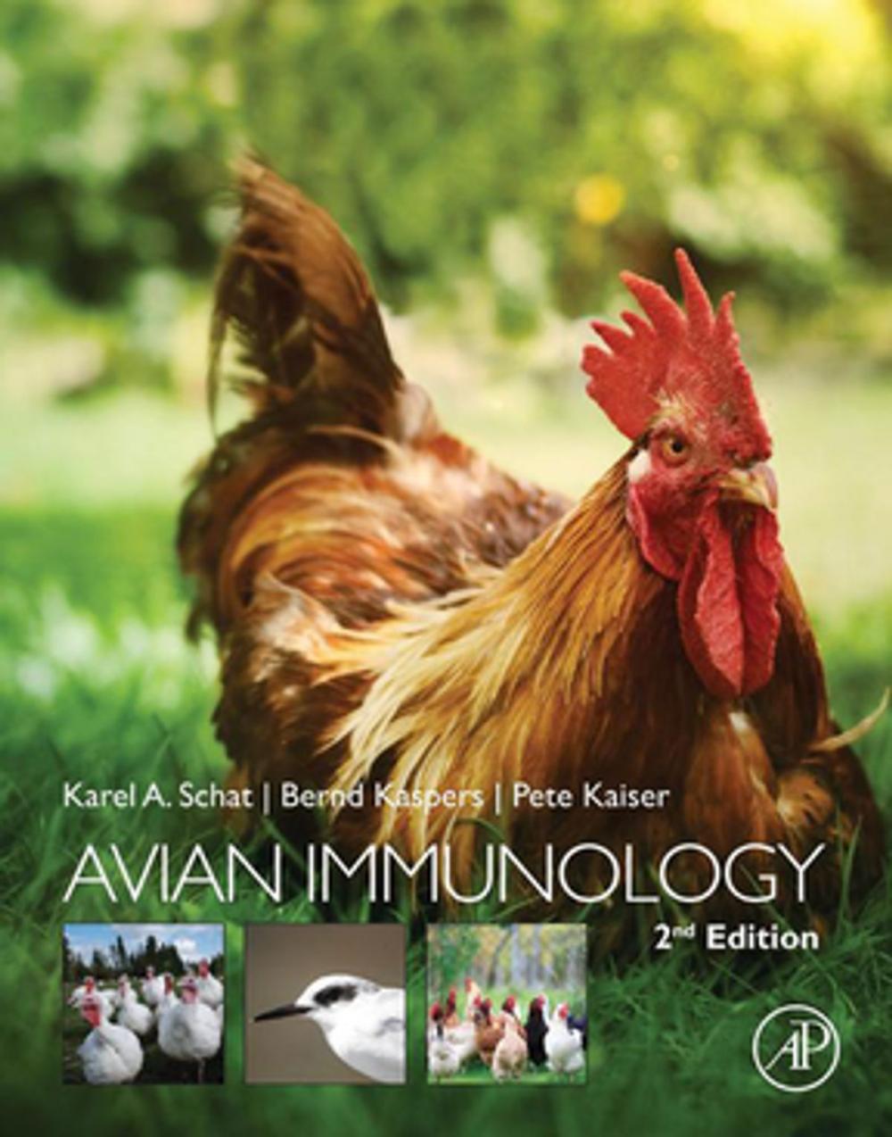 Big bigCover of Avian Immunology