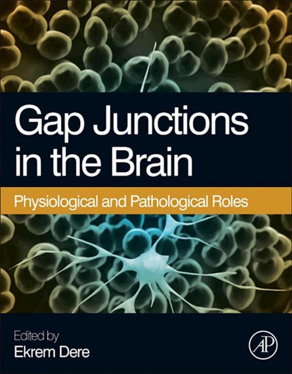Big bigCover of Gap Junctions in the Brain