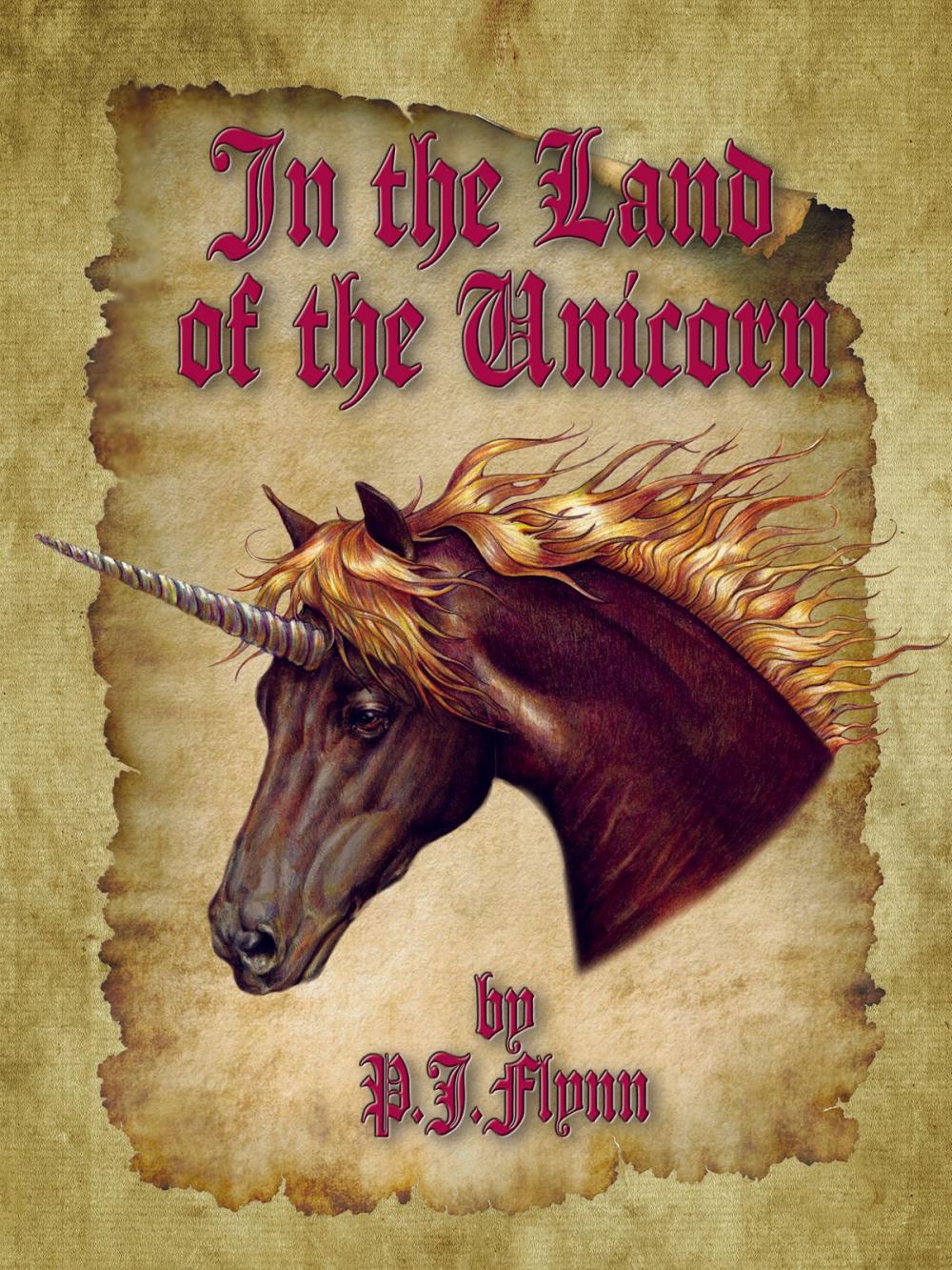 Big bigCover of In the Land of the Unicorn