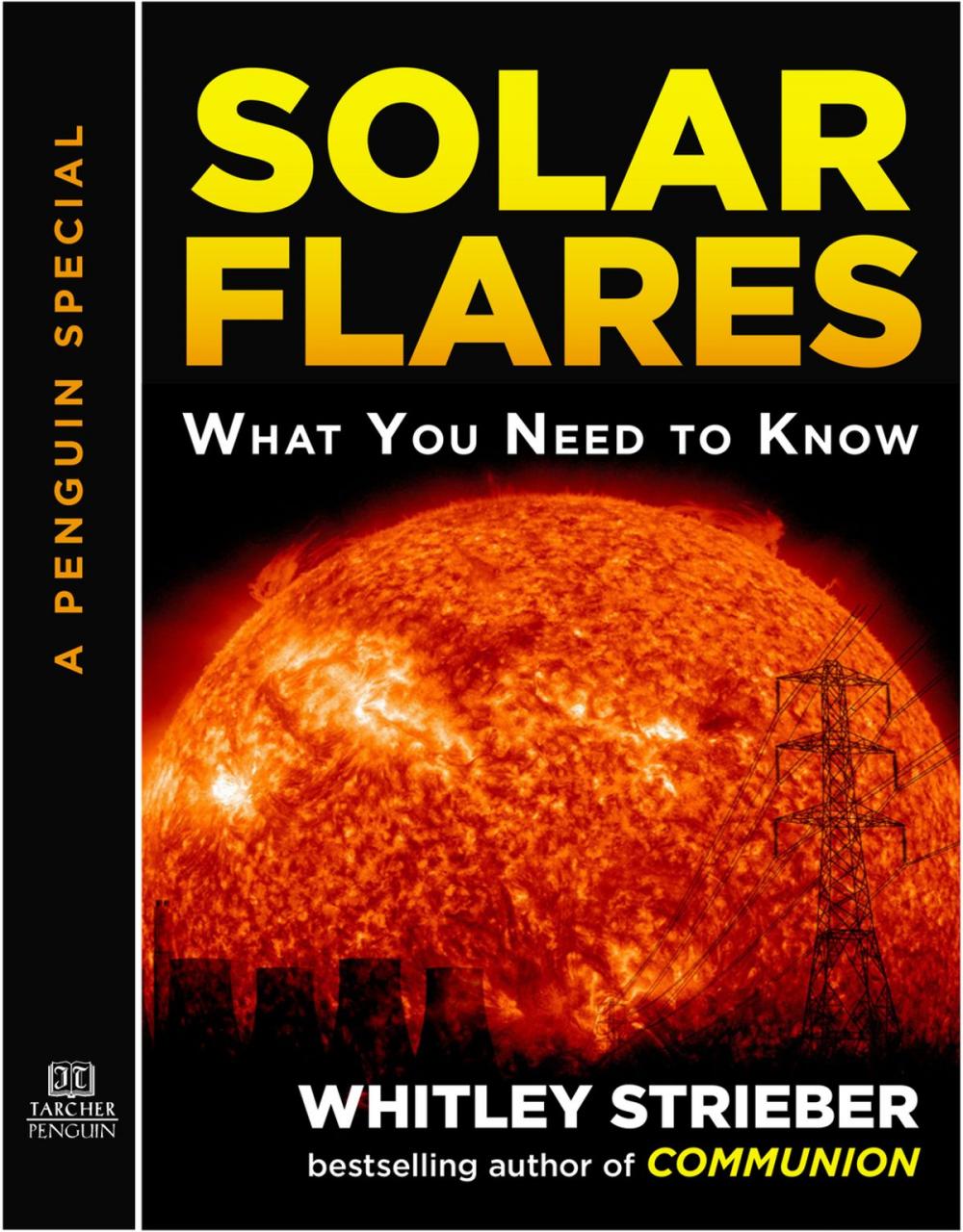 Big bigCover of Solar Flares