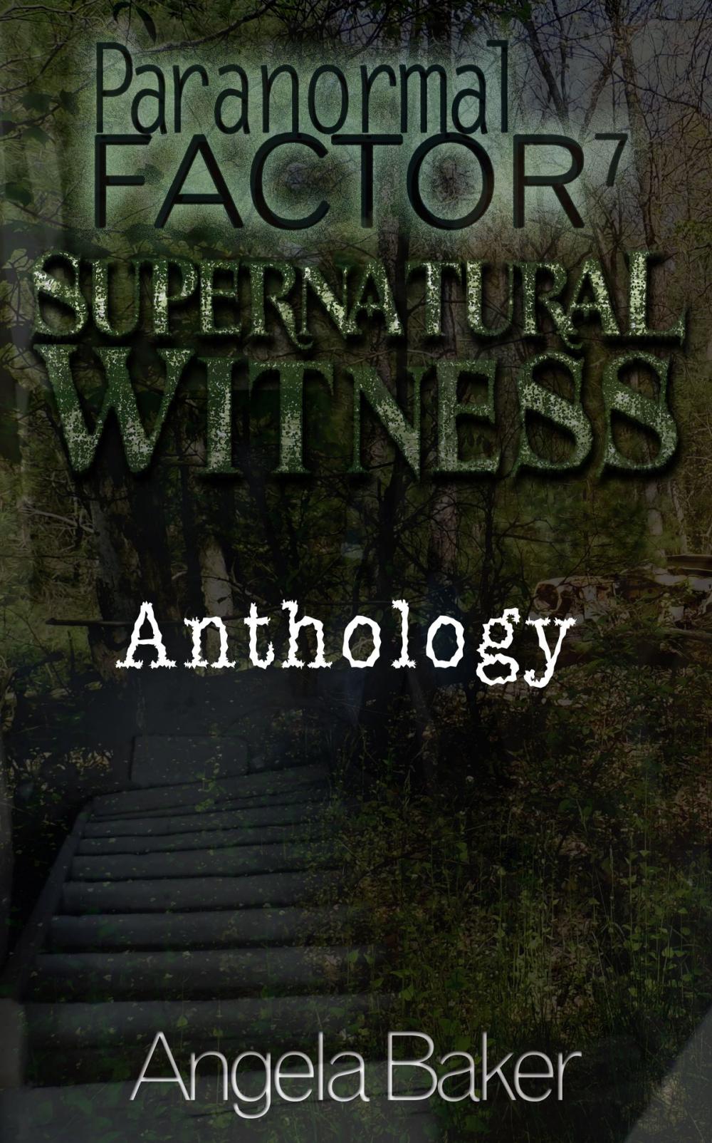 Big bigCover of Paranormal Factor: Supernatural Witness Anthology