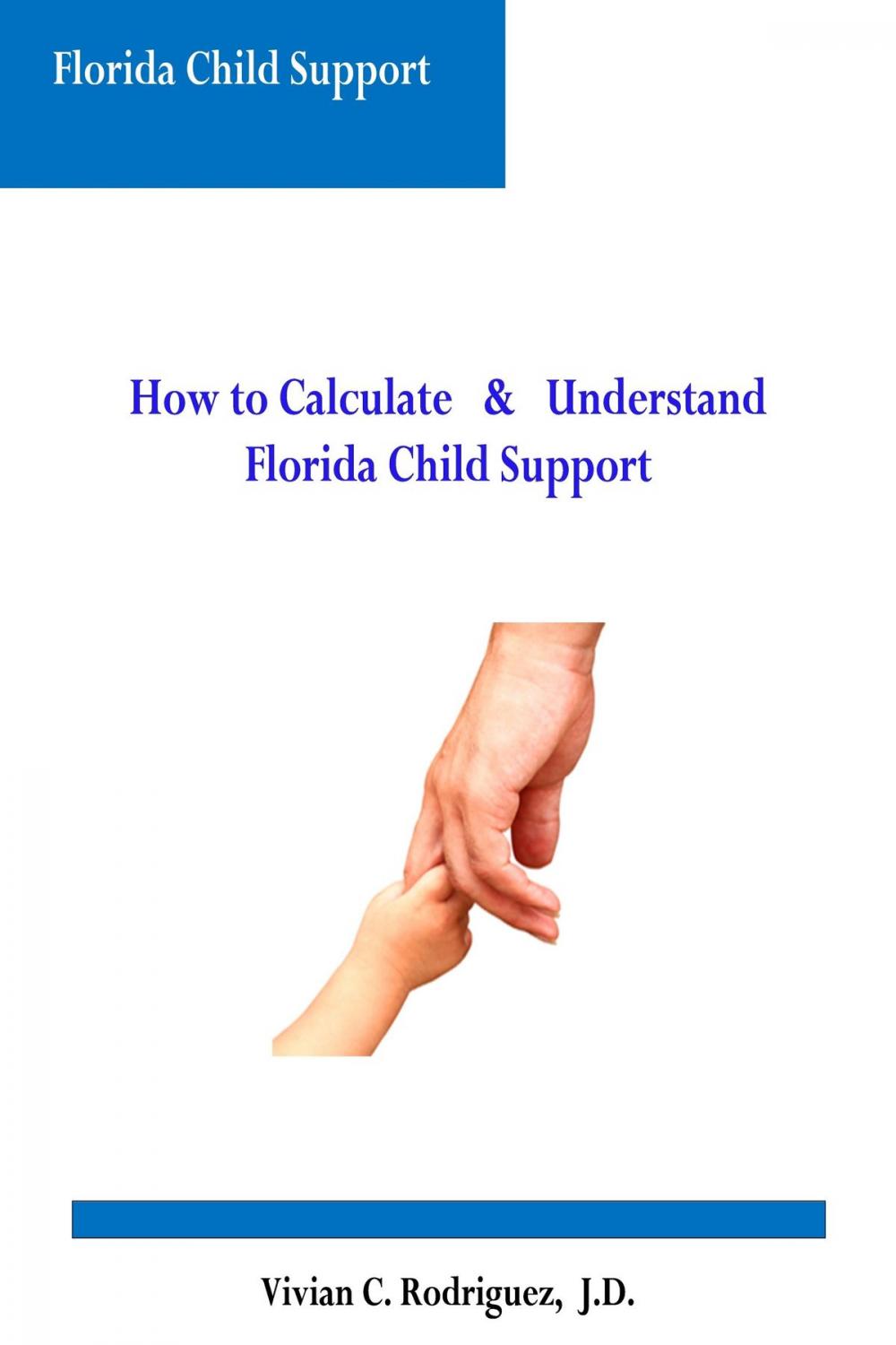 Big bigCover of How to Calculate and Understand Florida Child Support
