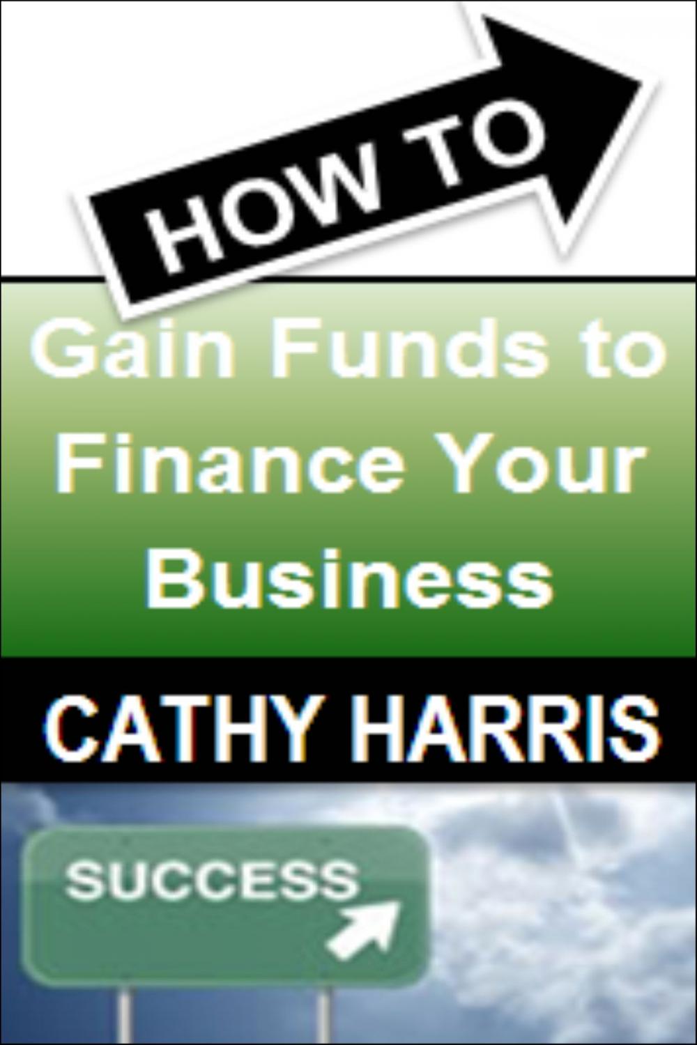 Big bigCover of How To Gain Funds To Finance Your Business [Article]