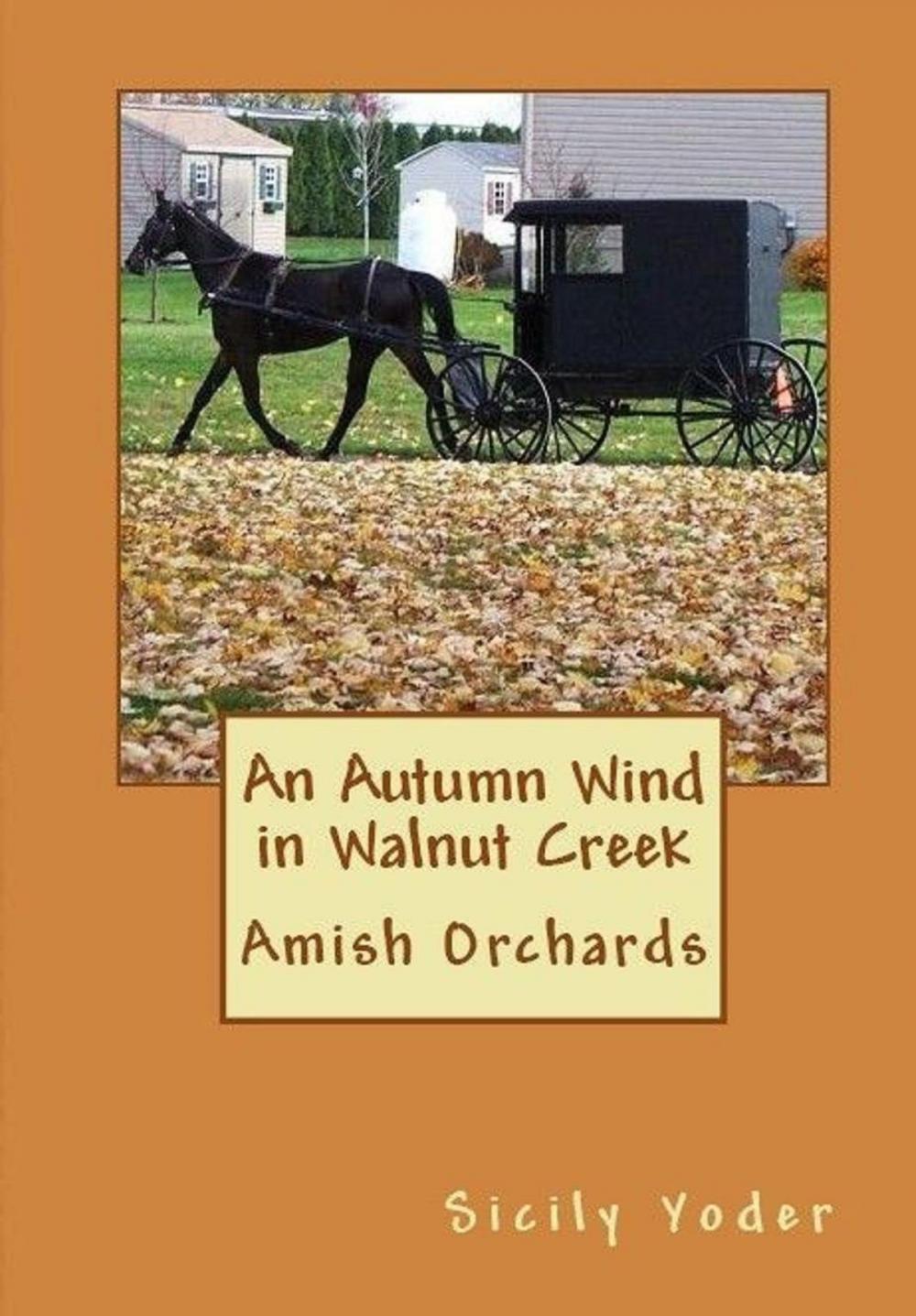 Big bigCover of An Autumn Wind in Walnut Creek (Amish Christianity Book)