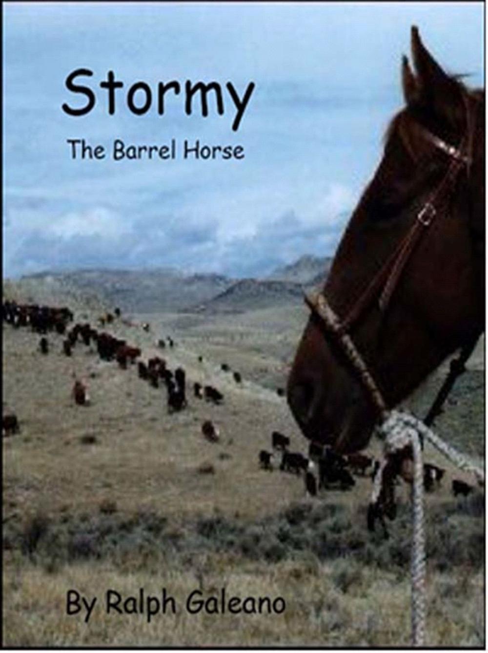 Big bigCover of Stormy The Barrel Horse