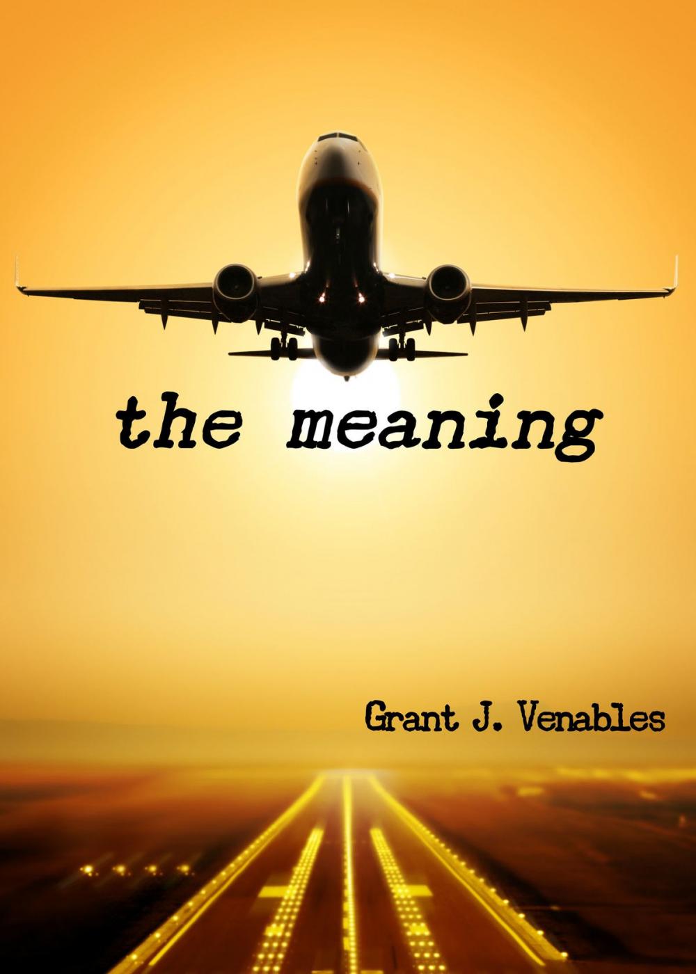 Big bigCover of The Meaning
