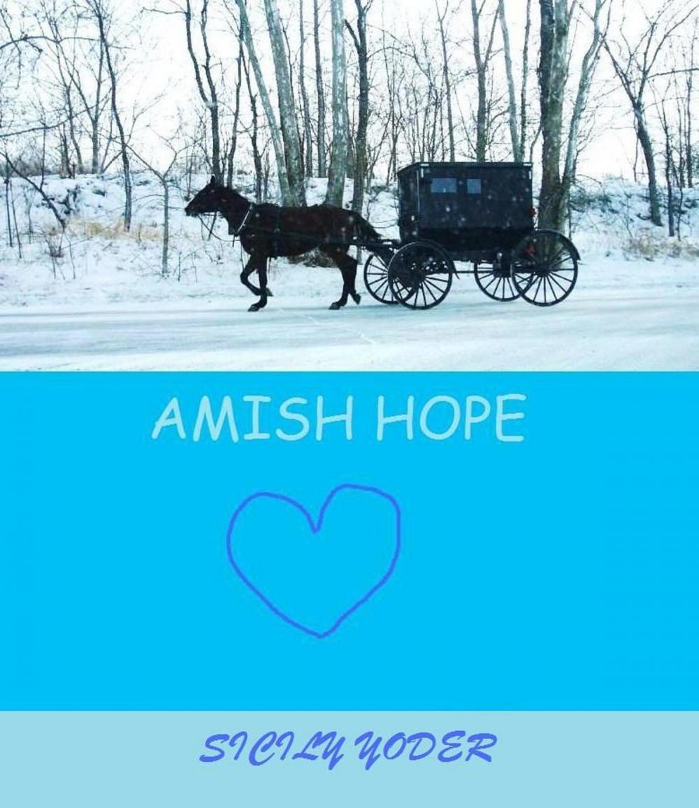 Big bigCover of Amish Hope