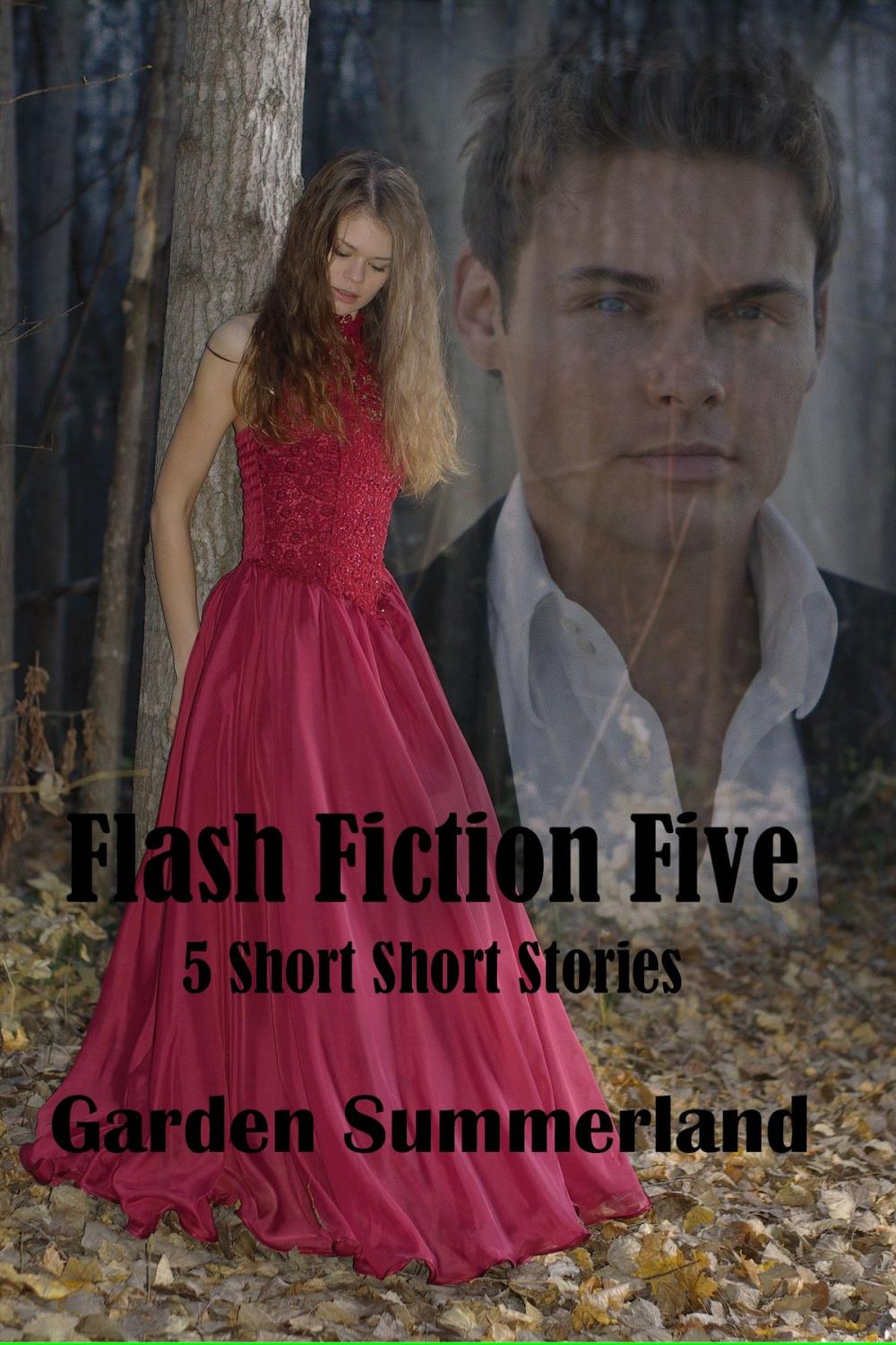 Big bigCover of Flash Five: 5 Short Short Stories