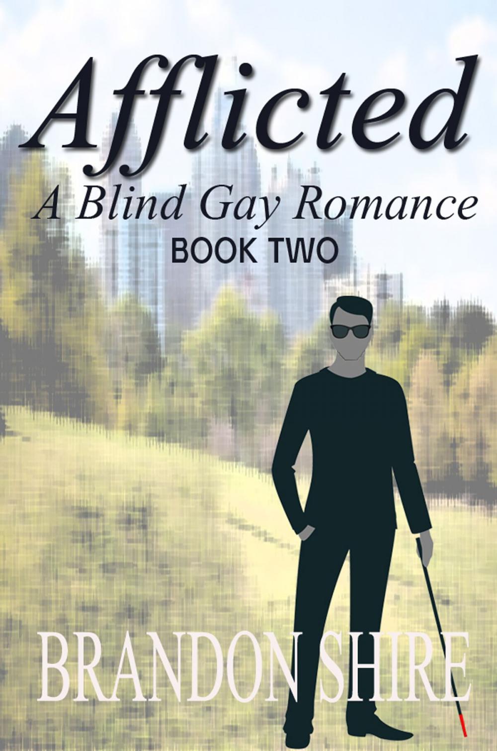 Big bigCover of Afflicted II: A Blind Gay Romance