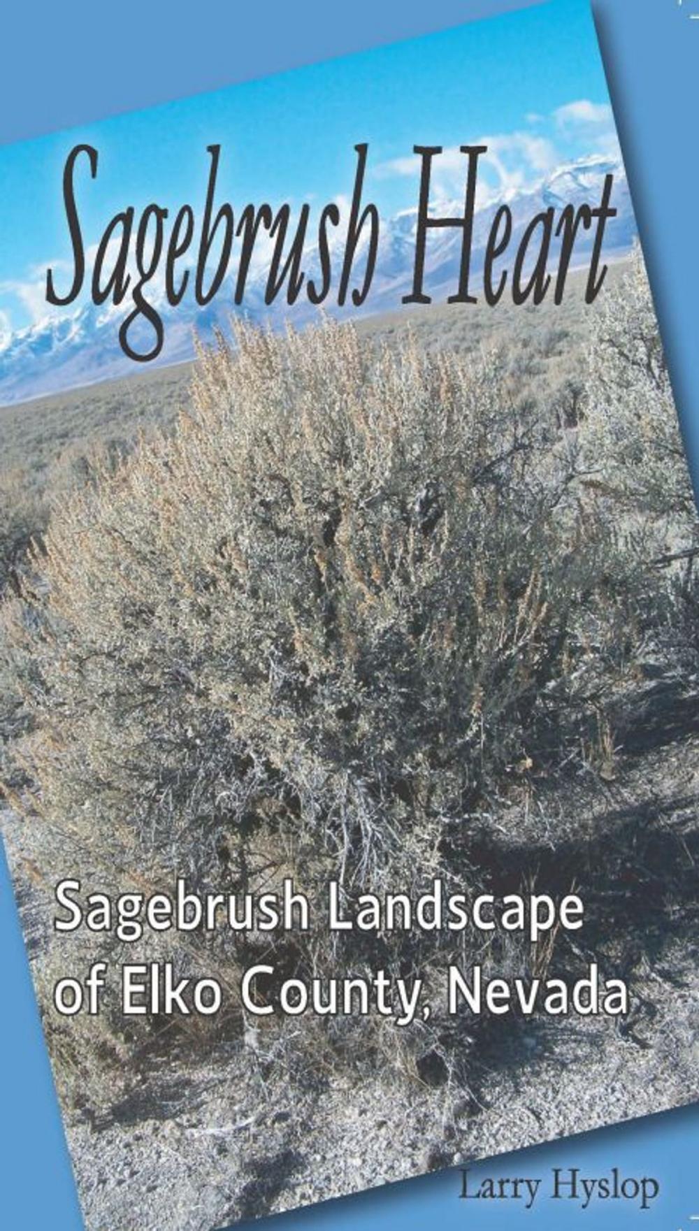 Big bigCover of Sagebrush Heart: Sagebrush Landscape of Elko County, Nevada