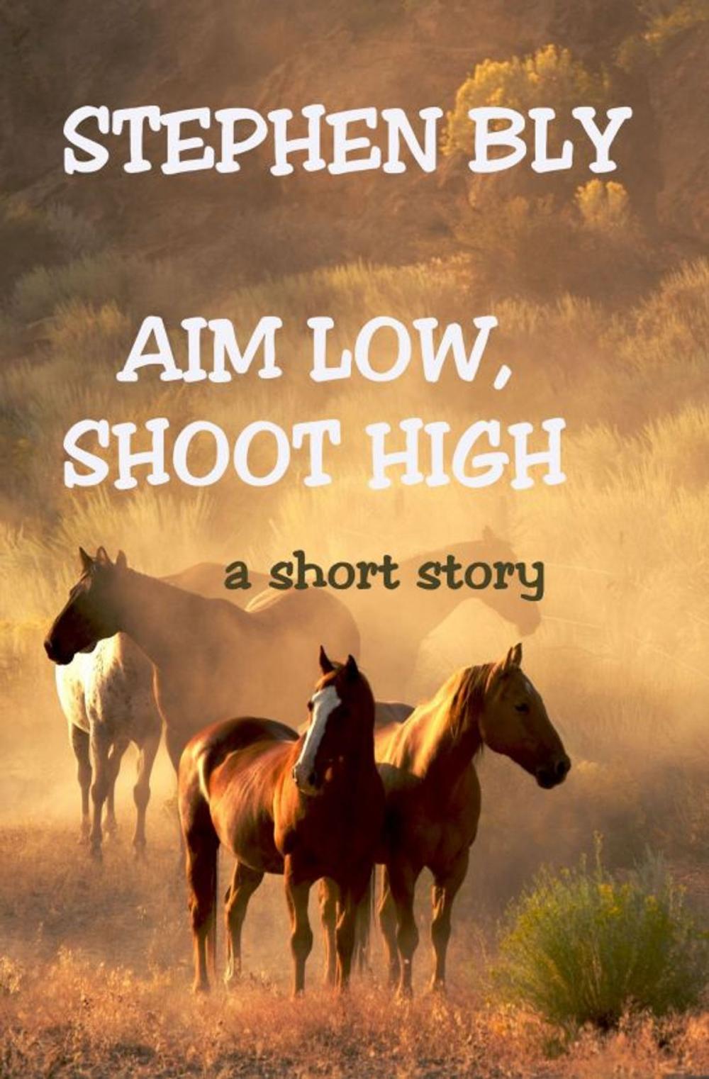 Big bigCover of Aim Low, Shoot High