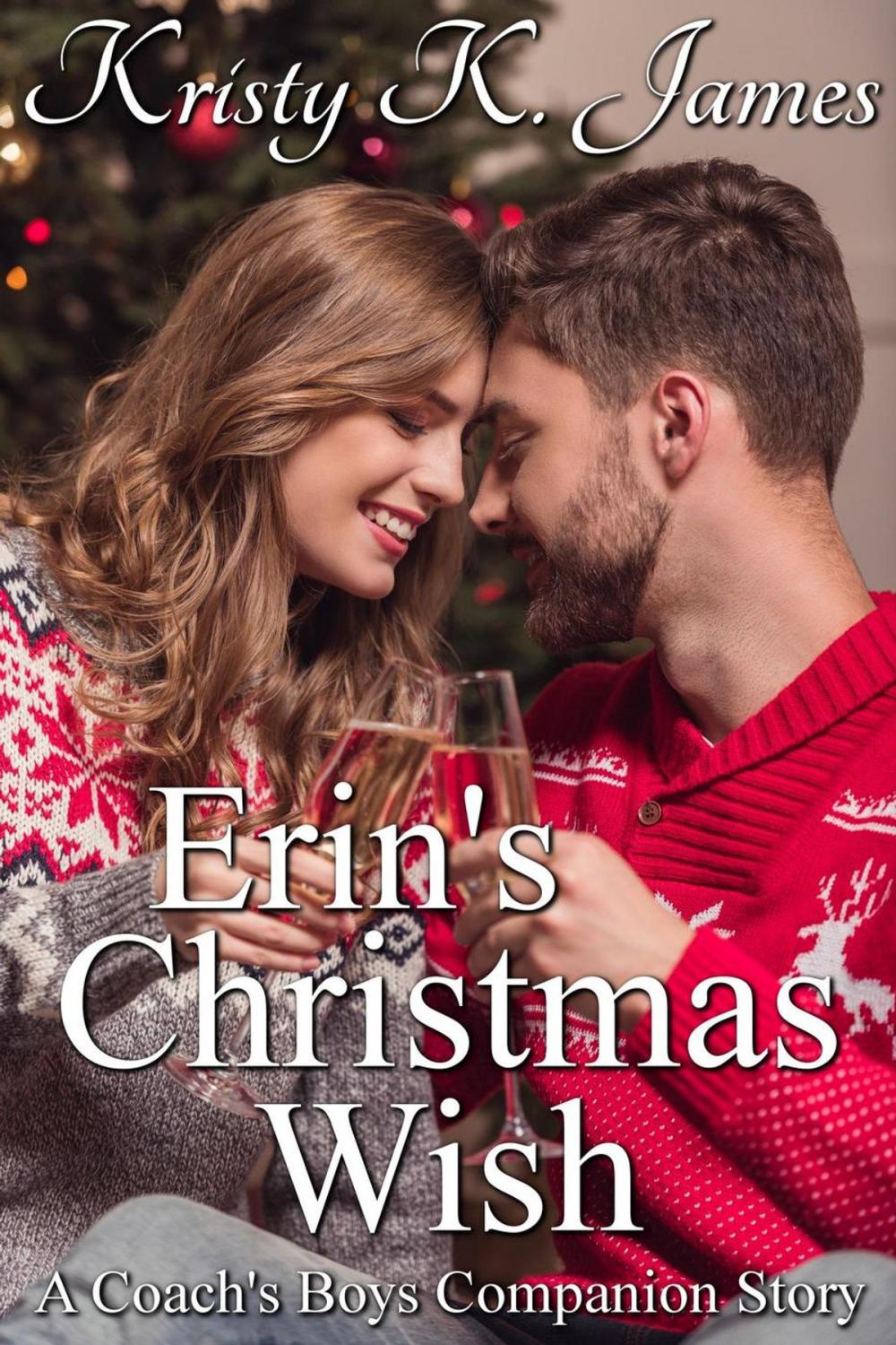 Big bigCover of Erin's Christmas Wish