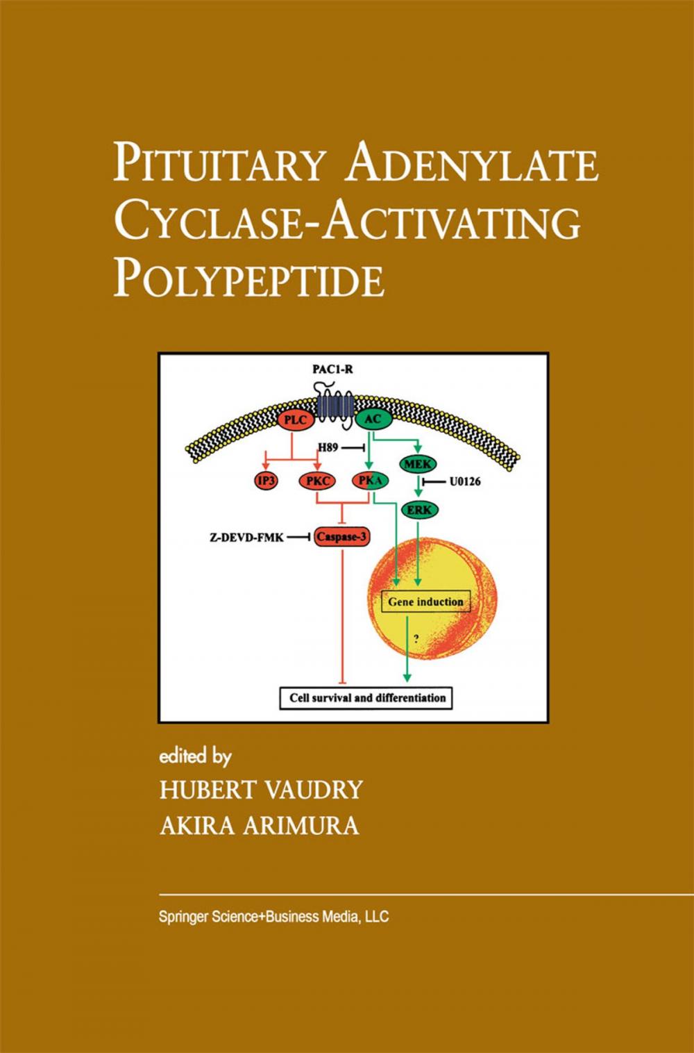 Big bigCover of Pituitary Adenylate Cyclase-Activating Polypeptide