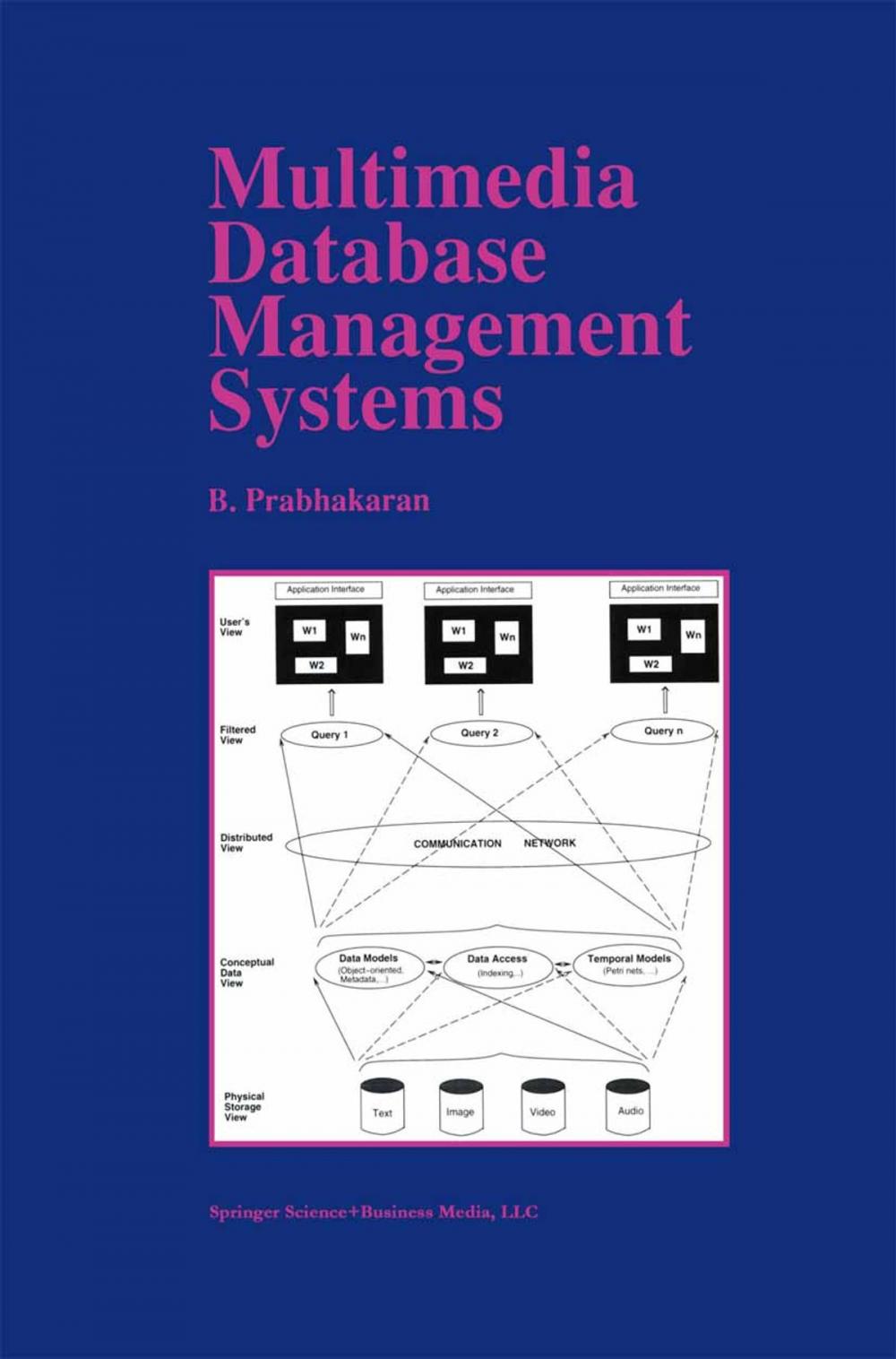 Big bigCover of Multimedia Database Management Systems
