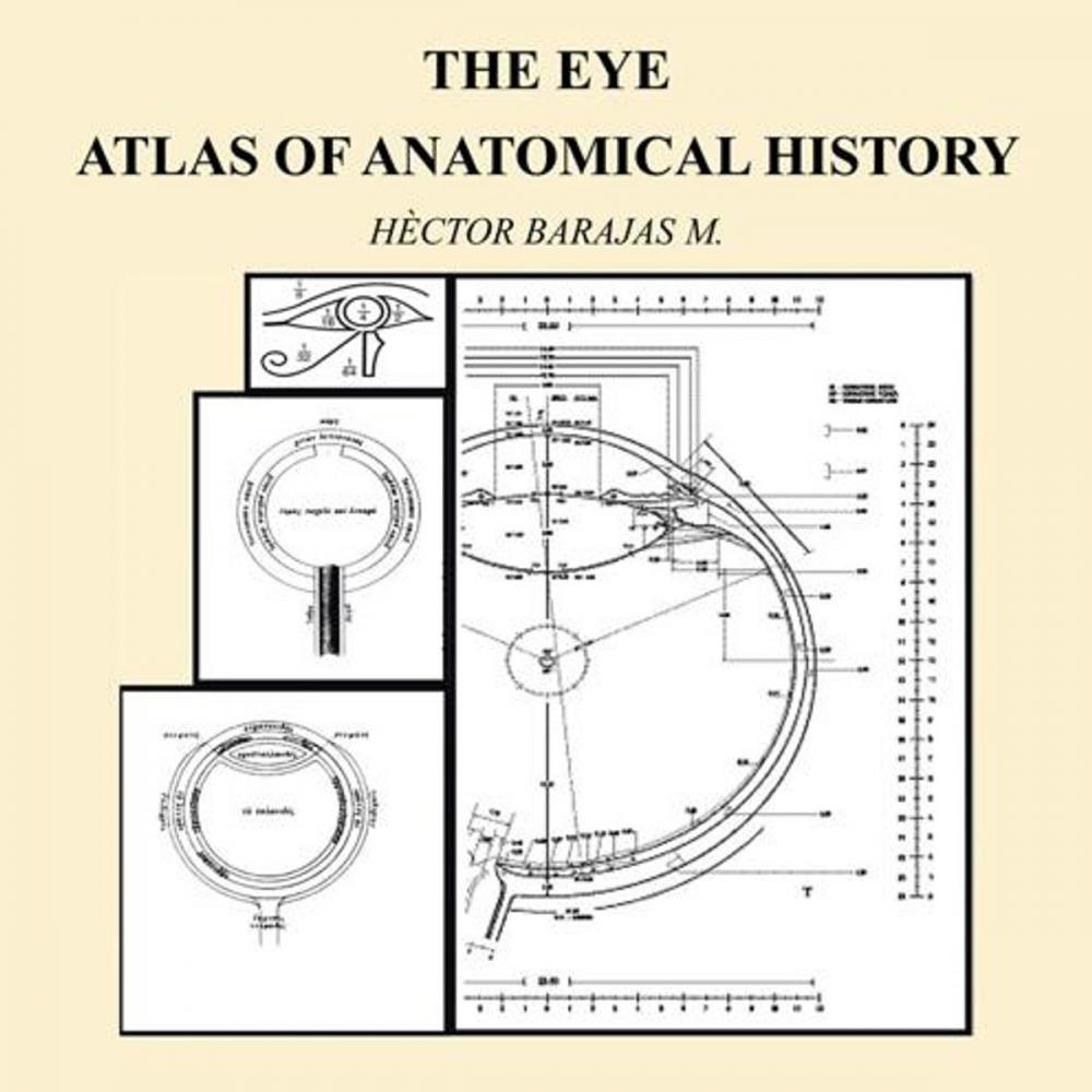 Big bigCover of The Eye: Atlas of Anatomical History