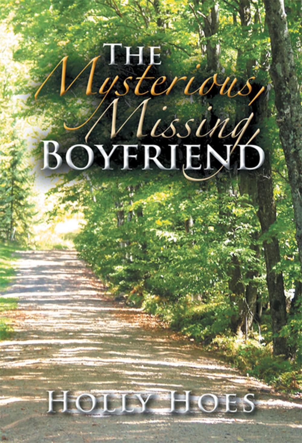 Big bigCover of The Mysterious, Missing, Boyfriend