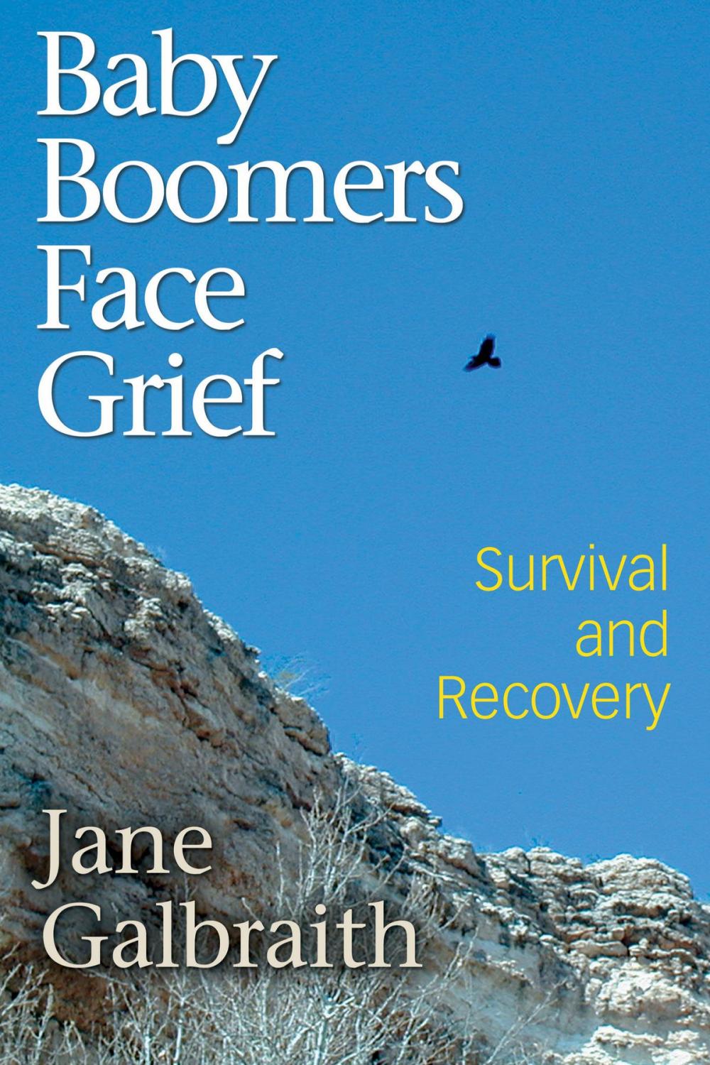Big bigCover of Baby Boomers Face Grief - Survival and Recovery