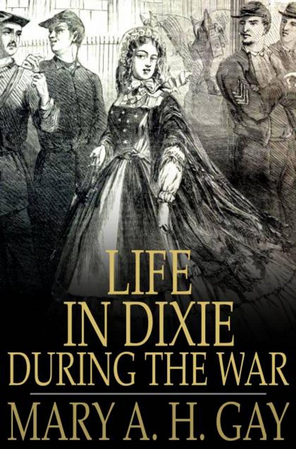 Big bigCover of Life in Dixie During the War