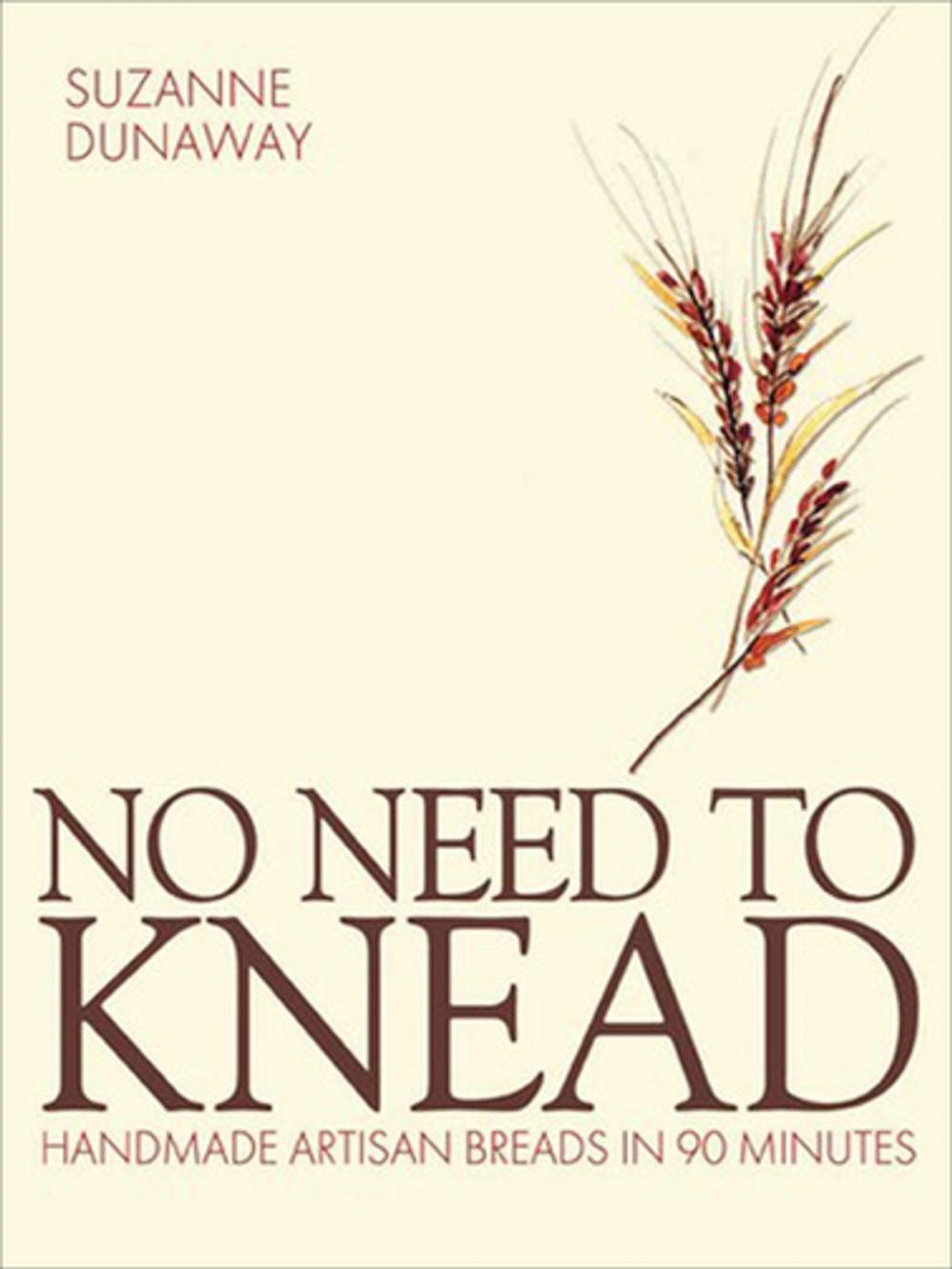 Big bigCover of No Need to Knead