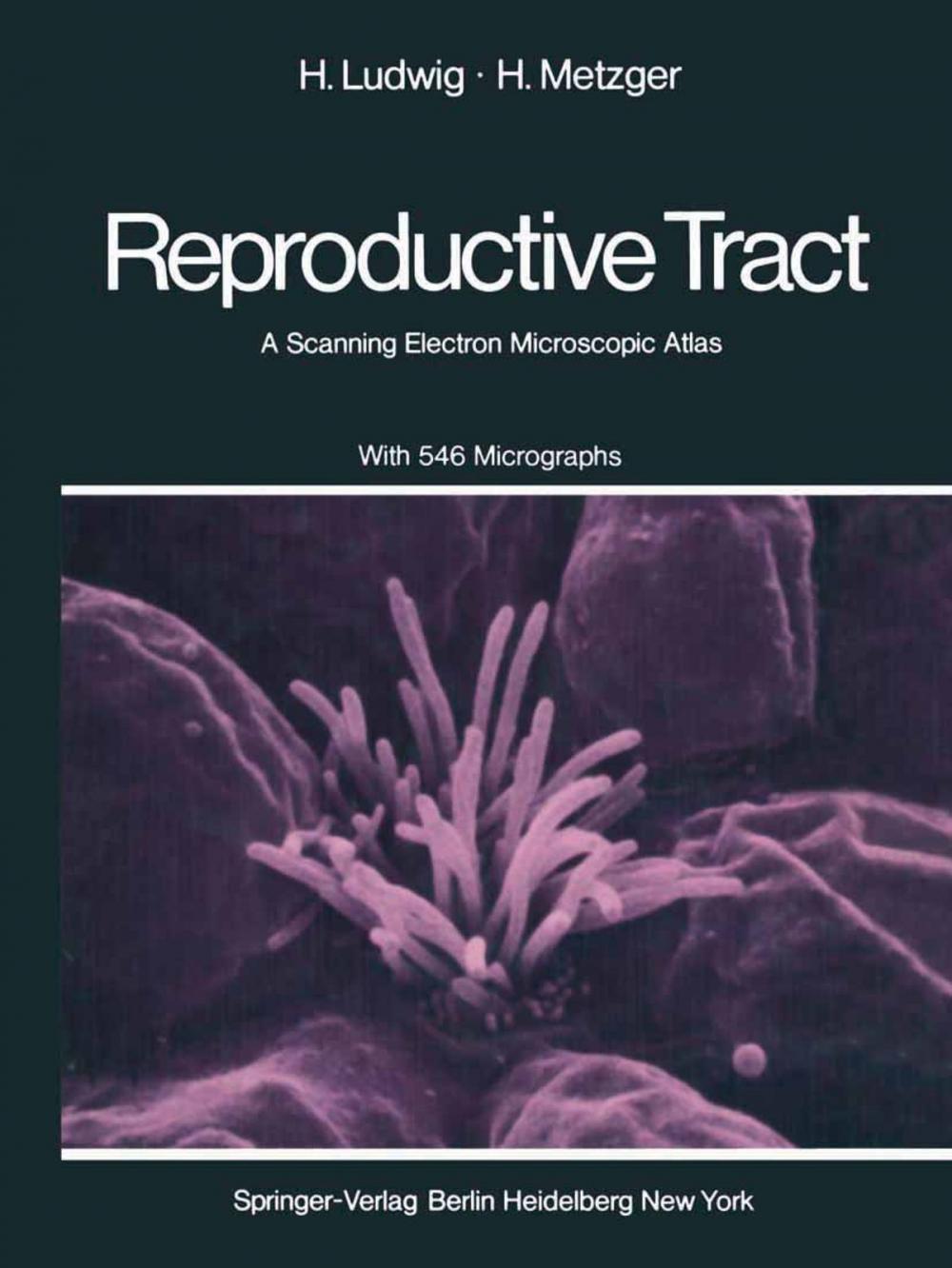 Big bigCover of The Human Female Reproductive Tract