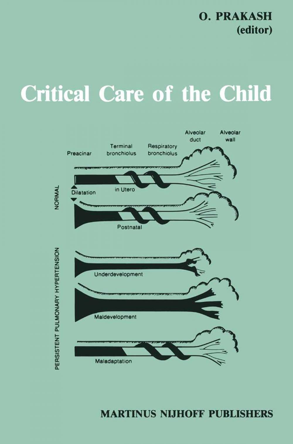 Big bigCover of Critical Care of the Child