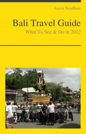 Cover of the book Bali, Indonesia Travel Guide - What To See & Do by Amy Copeland