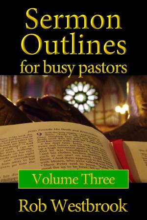 Cover of the book Sermon Outlines for Busy Pastors: Volume 3 by Rob Westbrook