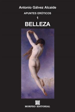 Cover of the book Belleza by Victoria Vixen