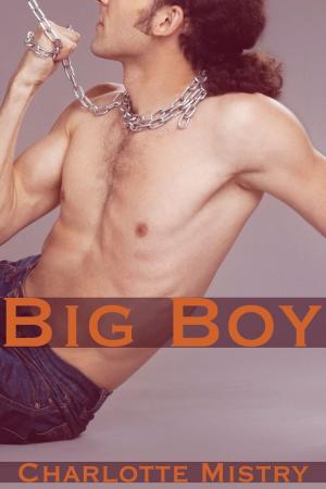 Cover of the book Big Boy by Theresa Zollicoffer