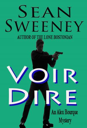 Cover of the book Voir Dire by D.L. Boyd