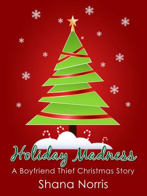 Cover of the book Holiday Madness: A Boyfriend Thief Christmas Story by Abby Wood