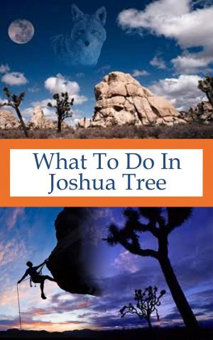 Cover of the book What To Do In Joshua Tree by Nader Freij
