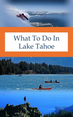Cover of the book What To Do In Lake Tahoe by Nader Freij