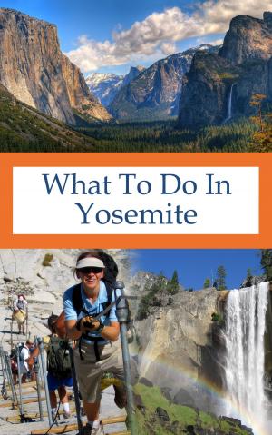 Cover of the book What To Do In Yosemite by Victoire ALAVY