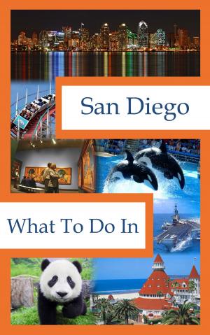 Cover of the book What To Do In San Diego by Nader Freij