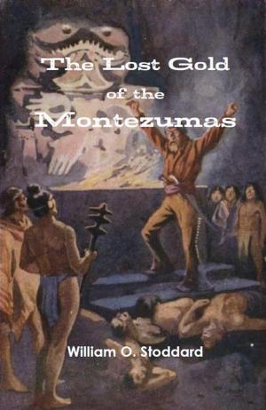 Cover of the book The Lost Gold of the Montezumas by William B. Stephenson, Jr