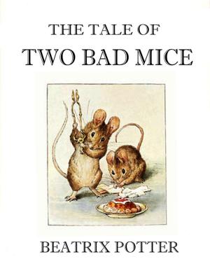 Book cover of The Tale of Two Bad Mice