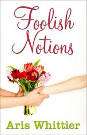 Cover of the book Foolish Notions by K.J. Diamond