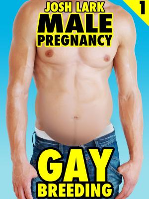 Cover of the book Gay Breeding by Josh Lark