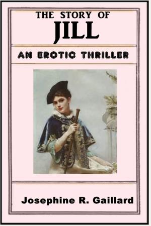 Cover of the book The Story of Jill by Emile Johnson
