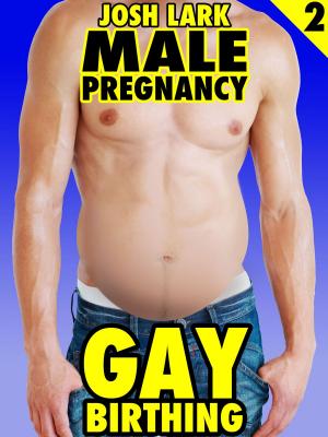 Book cover of Gay Birthing