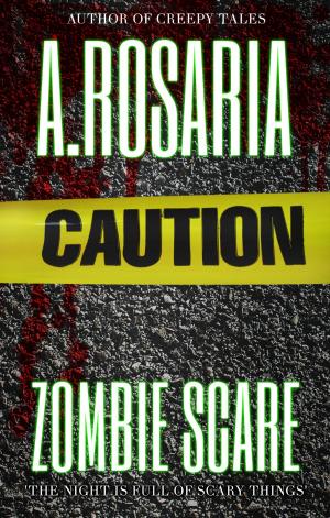 Cover of the book Zombie Scare by Steve Matthew Benner