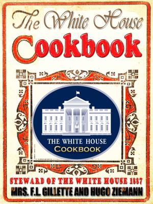 Book cover of THE WHITE HOUSE COOK BOOK (1887)