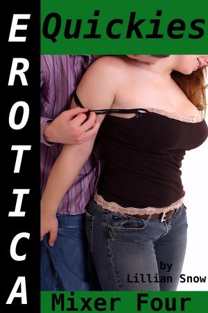 Cover of the book Erotica: Quickies, Mixer Four by Sasha Moans