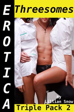 Book cover of Erotica: Threesomes, Triple Pack 2