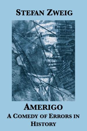 Cover of the book Amerigo: A Comedy of Errors in History by Michael Riordan