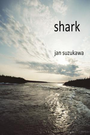 Cover of the book Shark by Kim Lawrence