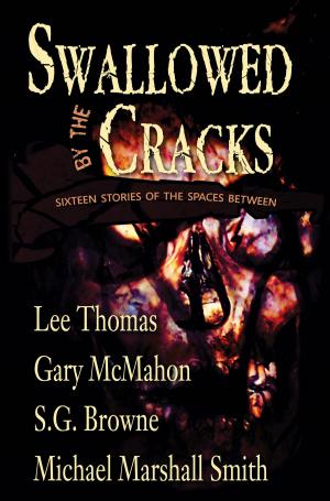 Cover of the book Swallowed By The Cracks by Emily Brontë