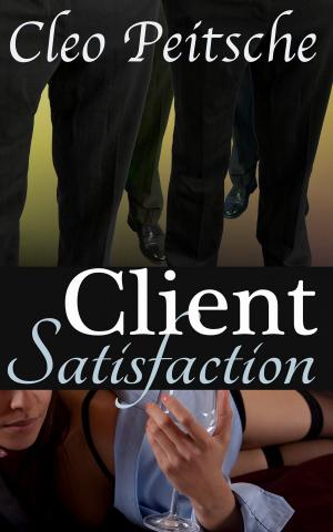 Cover of the book Client Satisfaction by Cleo Peitsche