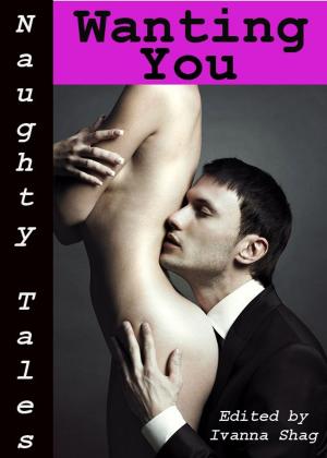 Book cover of Naughty Tales: Wanting You